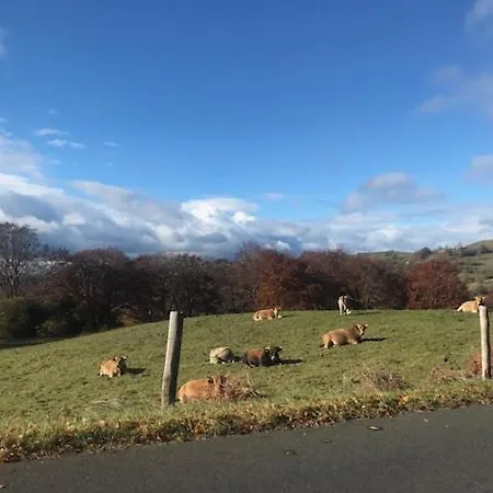 En Pierre Sur Le Chemin De St Jacques De Compostelle *