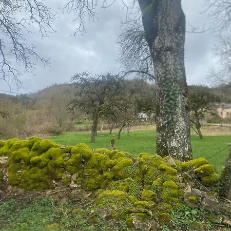 En Pierre Sur Le Chemin De St Jacques De Compostelle *