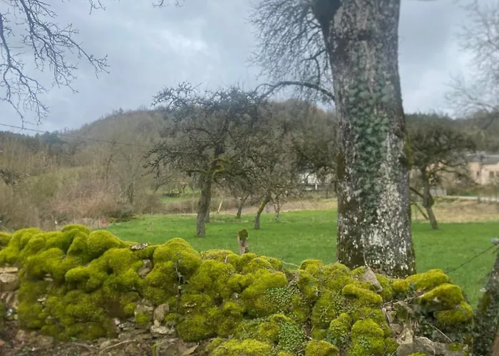En Pierre Sur Le Chemin De St Jacques De Compostelle *